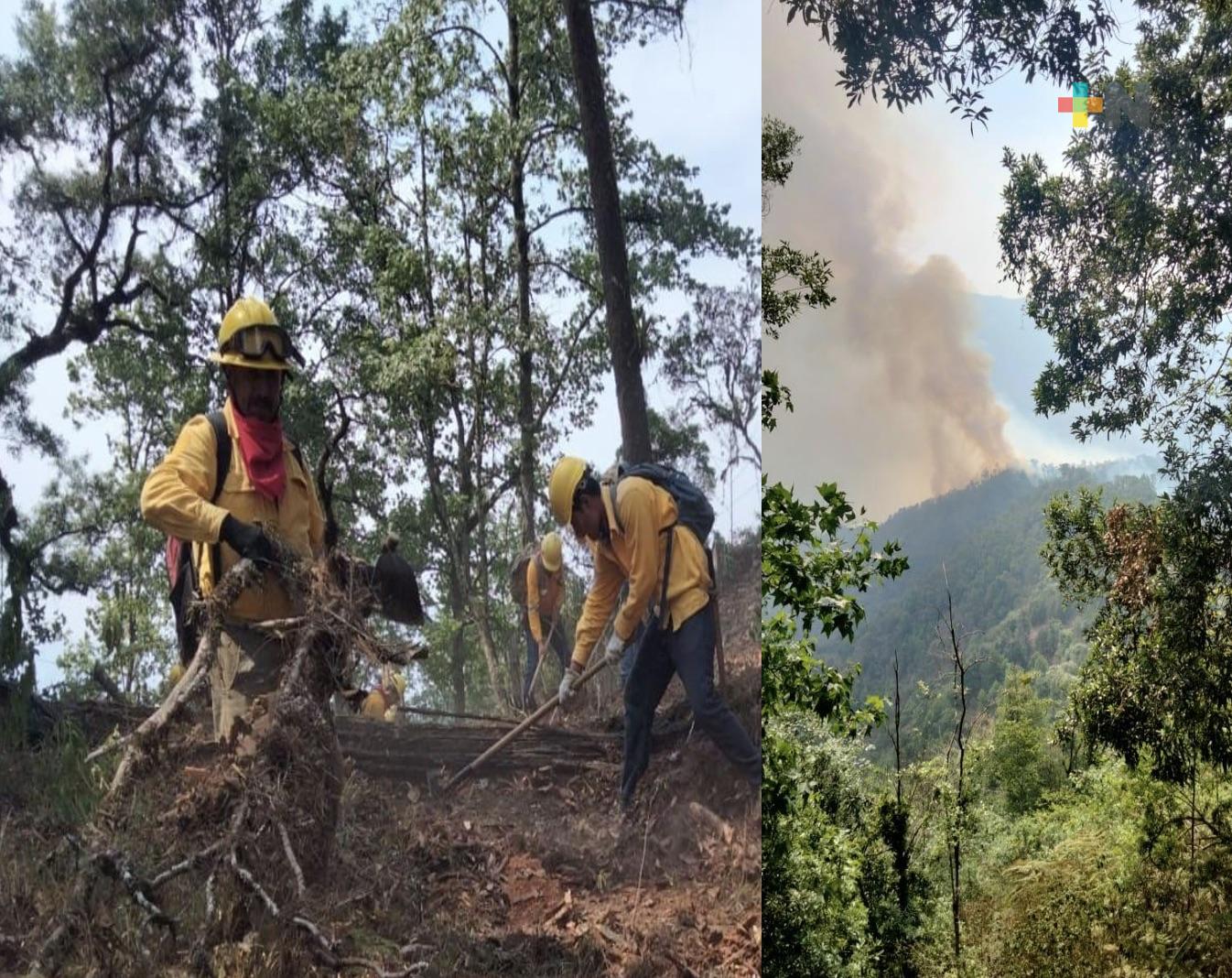 Fuerzas de tarea combaten incendio forestal en Huayacocotla